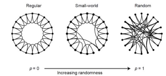 Fig.5 . Grafo regular, de mundo pequeño y aleatorio (tomada de [8]).